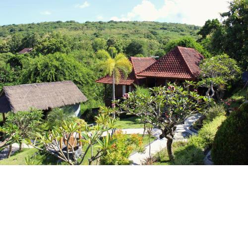 Bamboo Bungalow Jungle View