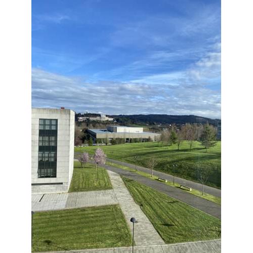 Entrada a Compostela, sorprende al peregrino